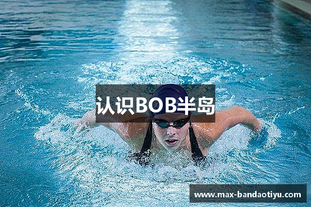 认识BOB半岛